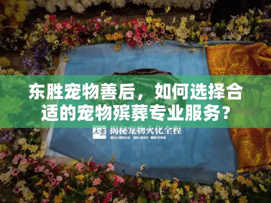 东胜宠物善后,如何选择合适的宠物殡葬专业服务? 东胜宠物善后,如何选择合适的宠物殡葬专业服务?