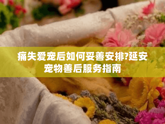 痛失爱宠后如何妥善安排?延安宠物善后服务指南 痛失爱宠后如何妥善安排?延安宠物善后服务指南
