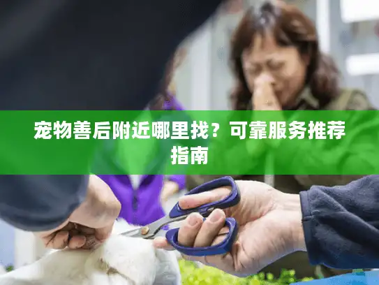 宠物善后附近哪里找？可靠服务推荐指南