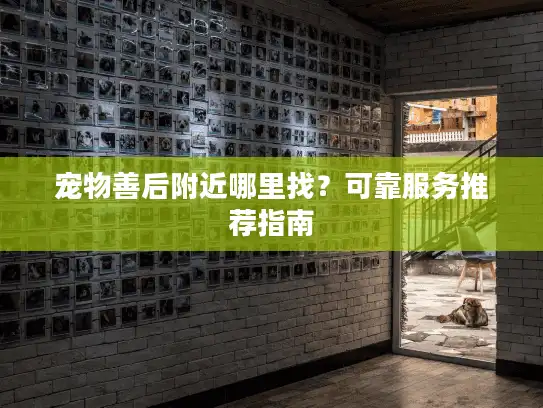 宠物善后附近哪里找？可靠服务推荐指南