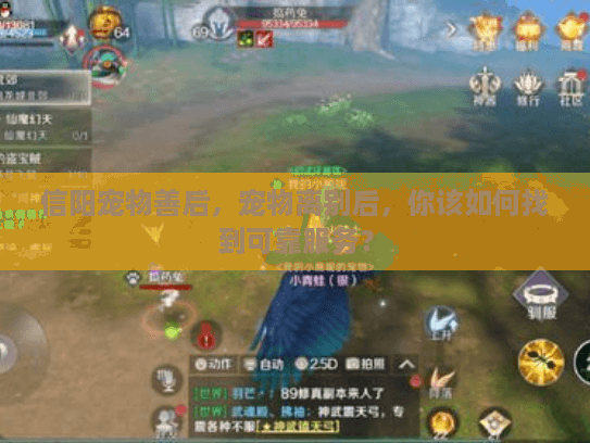 信阳宠物善后,宠物离别后,你该如何找到可靠服务? 信阳宠物善后,宠物离别后,你该如何找到可靠服务?