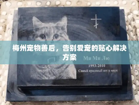 梅州宠物善后，告别爱宠的贴心解决方案