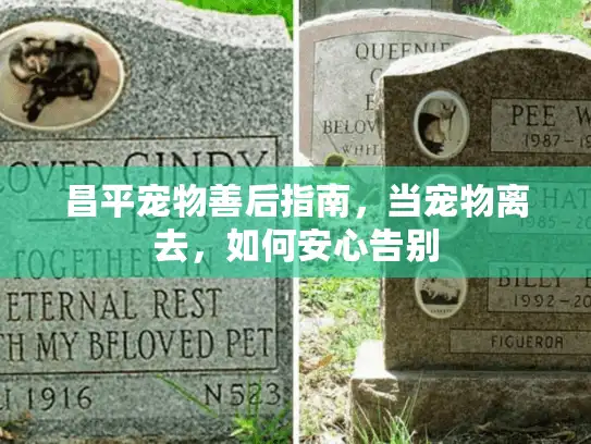 昌平宠物善后指南，当宠物离去，如何安心告别