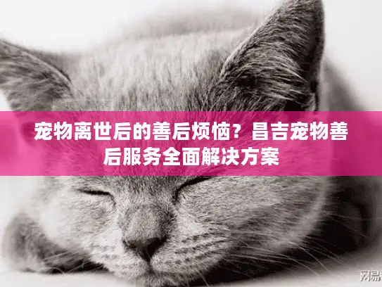 宠物离世后的善后烦恼?昌吉宠物善后服务全面解决方案 宠物离世后的善后烦恼?昌吉宠物善后服务全面解决方案
