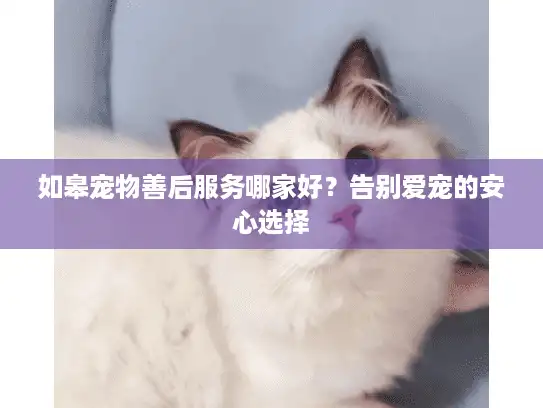 如皋宠物善后服务哪家好?告别爱宠的安心选择 如皋宠物善后服务哪家好?告别爱宠的安心选择