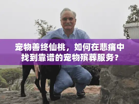 宠物善终仙桃，如何在悲痛中找到靠谱的宠物殡葬服务？