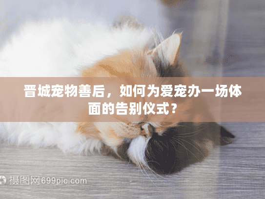 晋城宠物善后，如何为爱宠办一场体面的告别仪式？