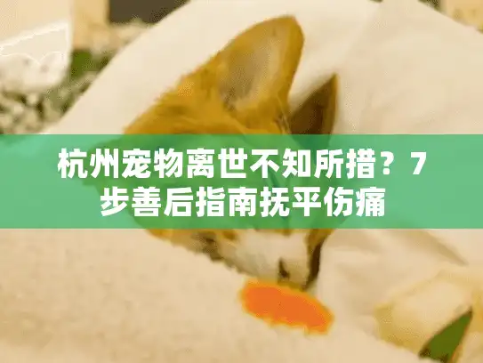 杭州宠物离世不知所措？7步善后指南抚平伤痛