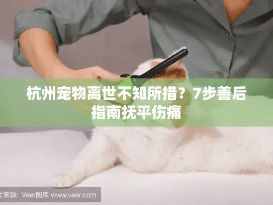 杭州宠物离世不知所措？7步善后指南抚平伤痛