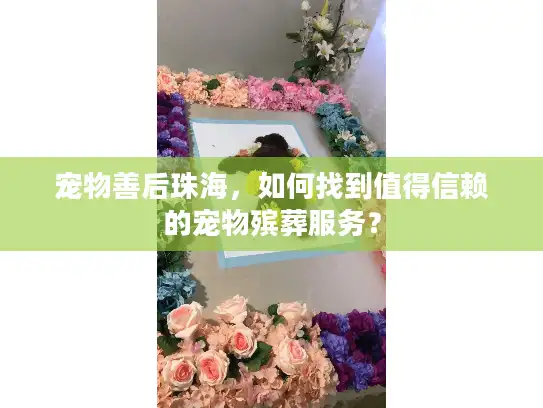 宠物善后珠海，如何找到值得信赖的宠物殡葬服务？