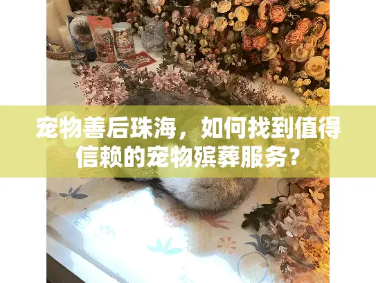 宠物善后珠海，如何找到值得信赖的宠物殡葬服务？