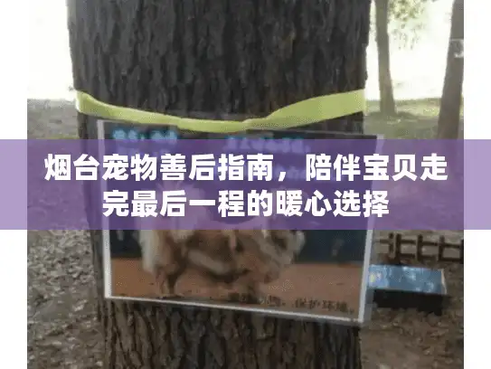 烟台宠物善后指南,陪伴宝贝走完最后一程的暖心选择 烟台宠物善后指南,陪伴宝贝走完最后一程的暖心选择