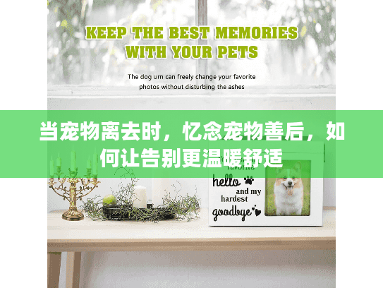 当宠物离去时，忆念宠物善后，如何让告别更温暖舒适