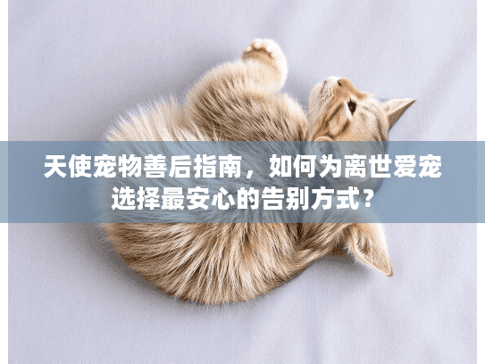 天使宠物善后指南，如何为离世爱宠选择最安心的告别方式？