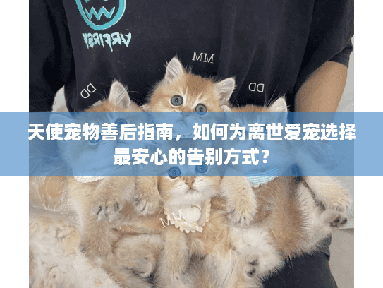 天使宠物善后指南，如何为离世爱宠选择最安心的告别方式？
