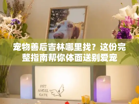 宠物善后吉林哪里找?这份完整指南帮你体面送别爱宠 宠物善后吉林哪里找?这份完整指南帮你体面送别爱宠