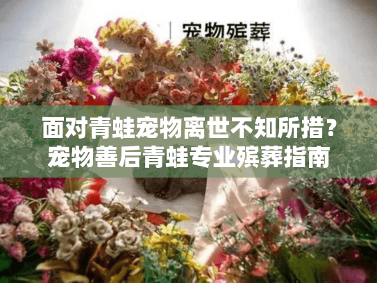 面对青蛙宠物离世不知所措?宠物善后青蛙专业殡葬指南 面对青蛙宠物离世不知所措?宠物善后青蛙专业殡葬指南