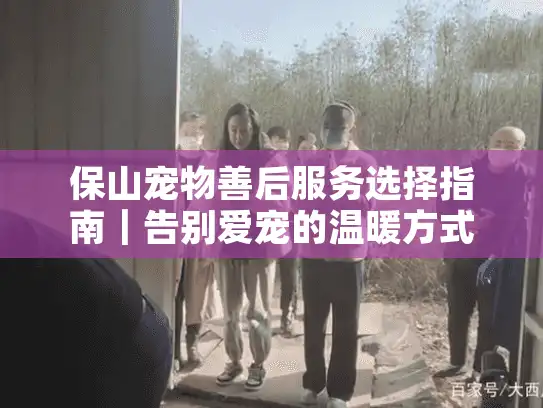 保山宠物善后服务选择指南｜告别爱宠的温暖方式