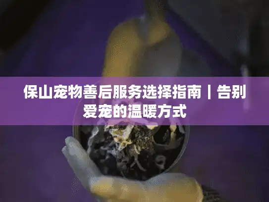 保山宠物善后服务选择指南｜告别爱宠的温暖方式