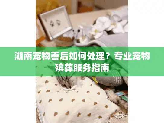 湖南宠物善后如何处理？专业宠物殡葬服务指南
