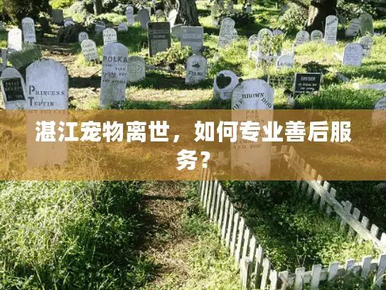 湛江宠物离世，如何专业善后服务？