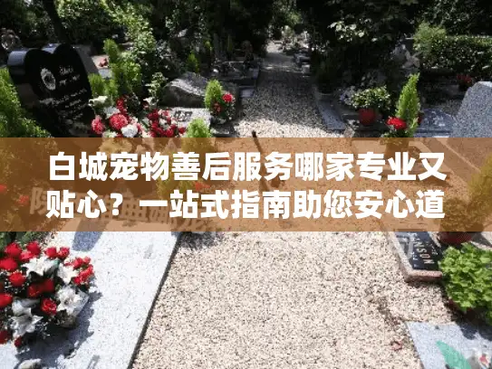 白城宠物善后服务哪家专业又贴心？一站式指南助您安心道别