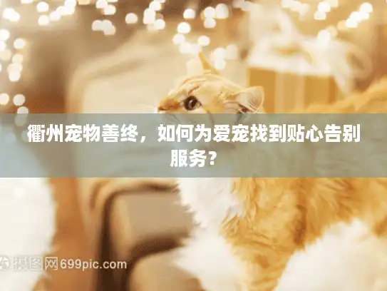 衢州宠物善终，如何为爱宠找到贴心告别服务？