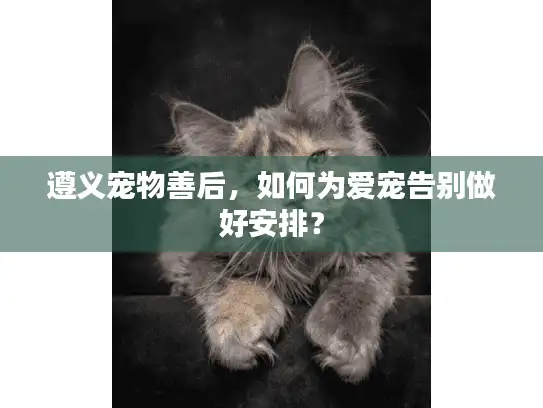 遵义宠物善后,如何为爱宠告别做好安排? 遵义宠物善后,如何为爱宠告别做好安排?