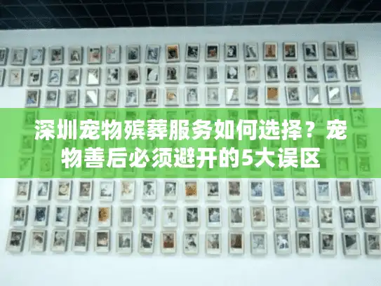 深圳宠物殡葬服务如何选择？宠物善后必须避开的5大误区