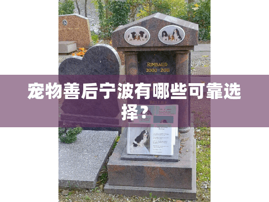 宠物善后宁波有哪些可靠选择？