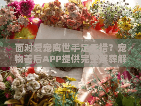 面对爱宠离世手足无措?宠物善后APP提供完整殡葬解决方案 面对爱宠离世手足无措?宠物善后APP提供完整殡葬解决方案
