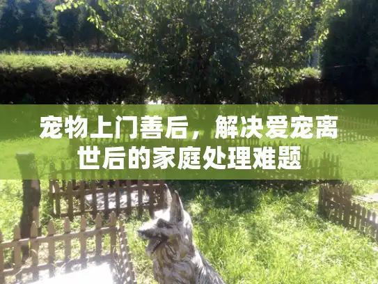 宠物上门善后，解决爱宠离世后的家庭处理难题