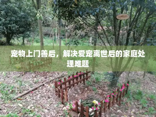 宠物上门善后，解决爱宠离世后的家庭处理难题