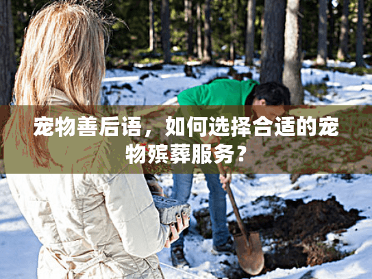 宠物善后语，如何选择合适的宠物殡葬服务？