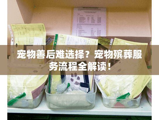 宠物善后难选择？宠物殡葬服务流程全解读！