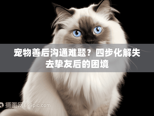 宠物善后沟通难题？四步化解失去挚友后的困境