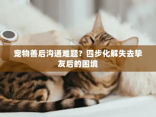 宠物善后沟通难题？四步化解失去挚友后的困境