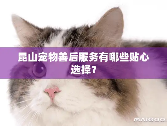 昆山宠物善后服务有哪些贴心选择? 昆山宠物善后服务有哪些贴心选择?