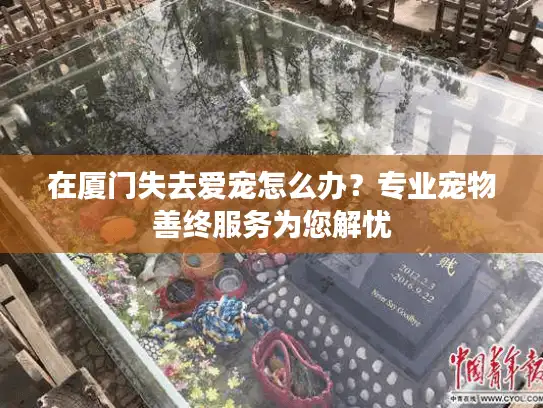 在厦门失去爱宠怎么办？专业宠物善终服务为您解忧