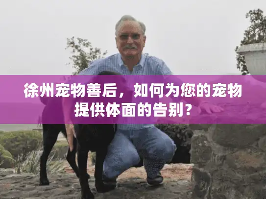 徐州宠物善后，如何为您的宠物提供体面的告别？