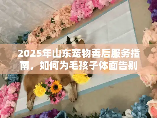 2025年山东宠物善后服务指南，如何为毛孩子体面告别