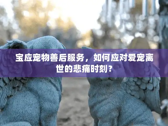 宝应宠物善后服务,如何应对爱宠离世的悲痛时刻? 宝应宠物善后服务,如何应对爱宠离世的悲痛时刻?