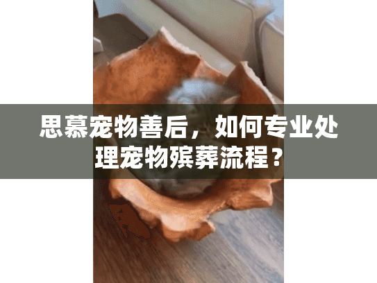 思慕宠物善后,如何专业处理宠物殡葬流程? 思慕宠物善后,如何专业处理宠物殡葬流程?