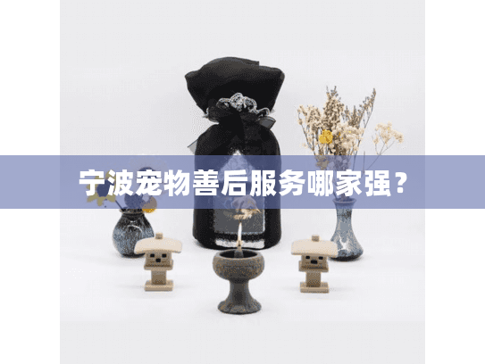宁波宠物善后服务哪家强？