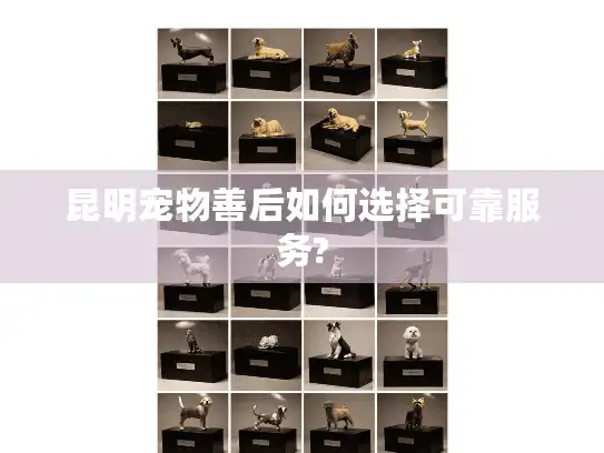 昆明宠物善后如何选择可靠服务?