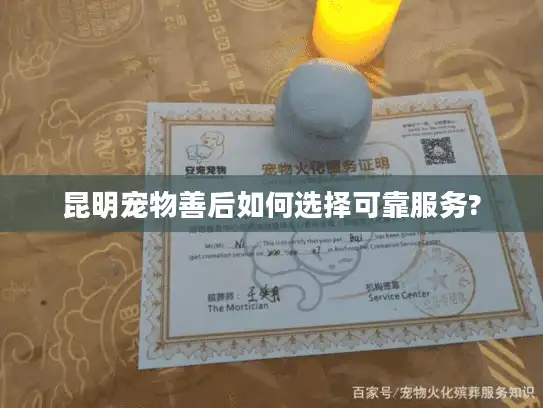 昆明宠物善后如何选择可靠服务?