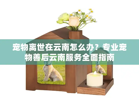 宠物离世在云南怎么办?专业宠物善后云南服务全面指南 宠物离世在云南怎么办?专业宠物善后云南服务全面指南