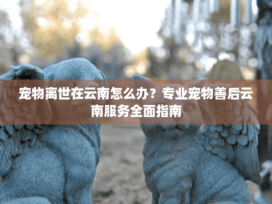 宠物离世在云南怎么办?专业宠物善后云南服务全面指南 宠物离世在云南怎么办?专业宠物善后云南服务全面指南