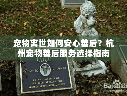 宠物离世如何安心善后？杭州宠物善后服务选择指南
