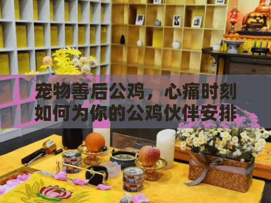 宠物善后公鸡，心痛时刻如何为你的公鸡伙伴安排专业告别？